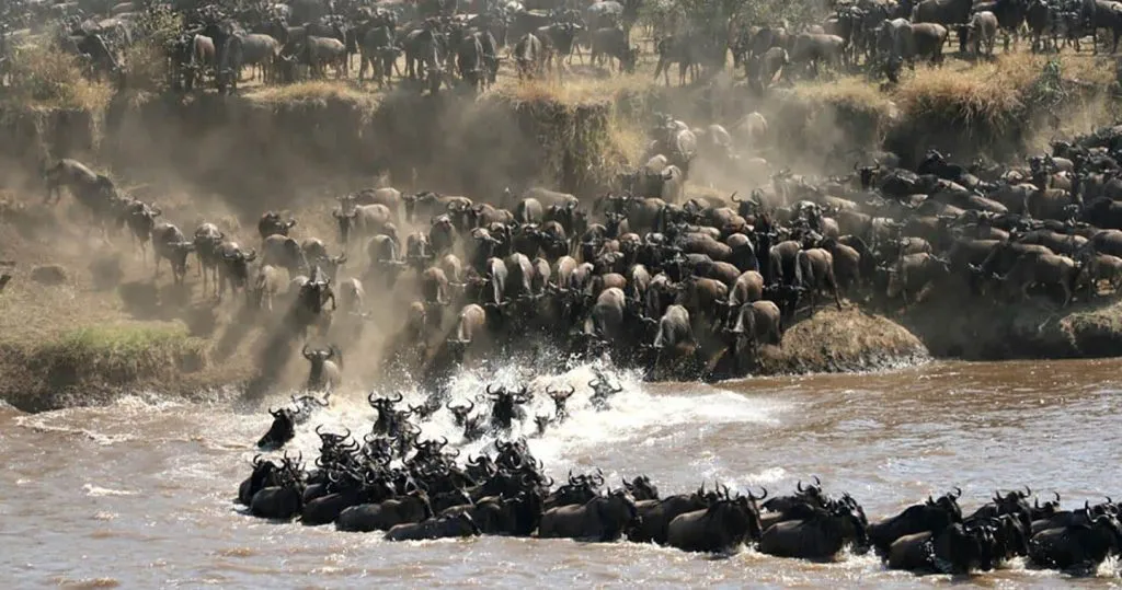 7-Day Serengeti Migration Safari
