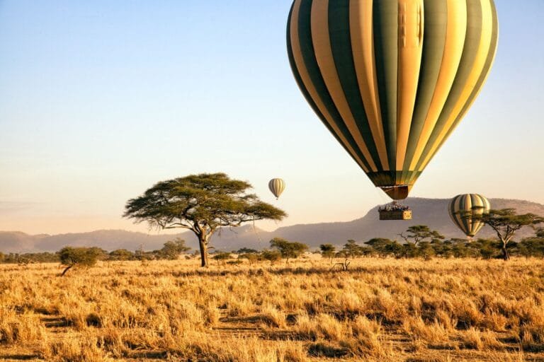 Serengeti plains at the end of the long rains in May