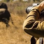 Arusha Safari