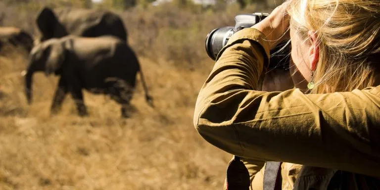 Photo Safari in Tanzania | Incredible Tanzania Photographic Safari Packages, What To Know Before Going For Big Five Safari In Tanzania, Best All-Inclusive African Safari Vacations, big five in Tanzania, 4-Days Serengeti Migration Safari, 10-Days Student Safari Tanzania, Simple Tips to Improve Your Safari Photographs, Best Tailor-Made Big 5 African Safaris, Responsible Travel, Ngorongoro Crater, Is the Ngorongoro Crater Worth Visiting?, 8 things that should be on your Tanzania itinerary, why you should visit the Ngorongoro Crater, What Camera should i bring for Tanzania Safari? How to Photograph Animals on the Move, Wildlife Photography Tips for Your Next Tanzania Safari, 10 Best African Photographic Safaris, How to Take Fabulous Smartphone Photos on Safari, Lake Eyasi Safari, Best Things to Do in Lake Manyara National Park, Best African Wildlife Safari, Tanzania Flying Safaris, Asilia Africa, The Ultimate Guide to Going on an African Safari, The Beginner’s Guide to Photographing an African Safari, How to Prepare For Tanzania Safari, Tips to Improve Your Wildlife & Nature Photography, African Safari Itineraries, Where to Go in Africa on a Photographic Safari, Serengeti Luxury Safaris, Ngorongoro Crater Trips for Solo Travelers, Arusha Safari Tours, Photography Safari in Tanzania, Luxury Wildlife Photo Tours, Trips, 7-Day Best of Serengeti Safari, Mikumi National Park