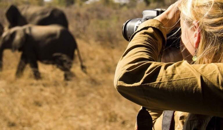 Photo Safari in Tanzania | Incredible Tanzania Photographic Safari Packages, What To Know Before Going For Big Five Safari In Tanzania, Best All-Inclusive African Safari Vacations, big five in Tanzania, 4-Days Serengeti Migration Safari, 10-Days Student Safari Tanzania, Simple Tips to Improve Your Safari Photographs, Best Tailor-Made Big 5 African Safaris, Responsible Travel, Ngorongoro Crater, Is the Ngorongoro Crater Worth Visiting?, 8 things that should be on your Tanzania itinerary, why you should visit the Ngorongoro Crater, What Camera should i bring for Tanzania Safari? How to Photograph Animals on the Move, Wildlife Photography Tips for Your Next Tanzania Safari, 10 Best African Photographic Safaris, How to Take Fabulous Smartphone Photos on Safari, Lake Eyasi Safari, Best Things to Do in Lake Manyara National Park, Best African Wildlife Safari, Tanzania Flying Safaris, Asilia Africa, The Ultimate Guide to Going on an African Safari, The Beginner’s Guide to Photographing an African Safari, How to Prepare For Tanzania Safari, Tips to Improve Your Wildlife & Nature Photography, African Safari Itineraries, Where to Go in Africa on a Photographic Safari, Serengeti Luxury Safaris, Ngorongoro Crater Trips for Solo Travelers, Arusha Safari Tours, Photography Safari in Tanzania, Luxury Wildlife Photo Tours, Trips, 7-Day Best of Serengeti Safari, Mikumi National Park