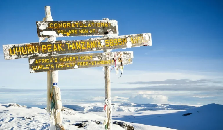 Mount Kilimanjaro Climbing Tours, Kilimanjaro Northern Circuit vs Lemosho, How to Climb Kilimanjaro Without the Crowds, Tips For A Successful Climb On Mount Kilimanjaro, Is Climbing Kilimanjaro Dangerous, What Age Restrictions are There on Mount Kilimanjaro? Kilimanjaro Climb Combo, Serengeti Safari, and Zanzibar Packages, What are the Best Sunglasses for Kilimanjaro? Climbing Kilimanjaro Guide No.1 Kilimanjaro Hike Guide, Why People Fail When Climbing Kilimanjaro, Why People Fail When Climbing Kilimanjaro, Ways to Boost Your Hiking Endurance for Climbing Kilimanjaro, Where does Kilimanjaro Rank Among the Seven Summits? Which Is Higher, Kilimanjaro Climb Or Everest Climb? Uhuru Peak, Climbing Mount Kilimanjaro – The Dos And Don'ts, What's at the Top of Mount Kilimanjaro?, Inspiring Kilimanjaro documentaries to watch, things to know about climbing mount Kilimanjaro, Climbing Kilimanjaro in January, How Kilimanjaro Gilman’s Point Got Its Name (Honor of ClementHow Stella Point Got Its Name (Tribute to Estella Latham) Gillman), Can I take my child on a Kilimanjaro climb with me?, The Arctic Zone of Kilimanjaro, Hats For Kilimanjaro, What is the Safest Route on Kilimanjaro?, Ways Climbing Kilimanjaro Enriches Your Life, amazing sights to see while Climbing Kilimanjaro, Does Mount Kilimanjaro have any cultural significance?, The Ultimate Kilimanjaro Trekking Guide 2026: Routes, Costs & Expert Tips, How dangerous is climbing Kilimanjaro