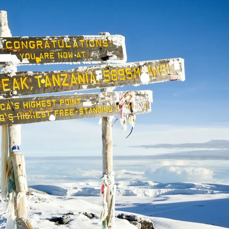 Mount Kilimanjaro Climbing Tours, Kilimanjaro Northern Circuit vs Lemosho, How to Climb Kilimanjaro Without the Crowds, Tips For A Successful Climb On Mount Kilimanjaro, Is Climbing Kilimanjaro Dangerous, What Age Restrictions are There on Mount Kilimanjaro? Kilimanjaro Climb Combo, Serengeti Safari, and Zanzibar Packages, What are the Best Sunglasses for Kilimanjaro? Climbing Kilimanjaro Guide No.1 Kilimanjaro Hike Guide, Why People Fail When Climbing Kilimanjaro, Why People Fail When Climbing Kilimanjaro, Ways to Boost Your Hiking Endurance for Climbing Kilimanjaro, Where does Kilimanjaro Rank Among the Seven Summits? Which Is Higher, Kilimanjaro Climb Or Everest Climb? Uhuru Peak, Climbing Mount Kilimanjaro – The Dos And Don'ts, What's at the Top of Mount Kilimanjaro?, Inspiring Kilimanjaro documentaries to watch, things to know about climbing mount Kilimanjaro, Climbing Kilimanjaro in January, How Kilimanjaro Gilman’s Point Got Its Name (Honor of ClementHow Stella Point Got Its Name (Tribute to Estella Latham) Gillman), Can I take my child on a Kilimanjaro climb with me?, The Arctic Zone of Kilimanjaro, Hats For Kilimanjaro, What is the Safest Route on Kilimanjaro?, Ways Climbing Kilimanjaro Enriches Your Life, amazing sights to see while Climbing Kilimanjaro, Does Mount Kilimanjaro have any cultural significance?, The Ultimate Kilimanjaro Trekking Guide 2026: Routes, Costs & Expert Tips, How dangerous is climbing Kilimanjaro