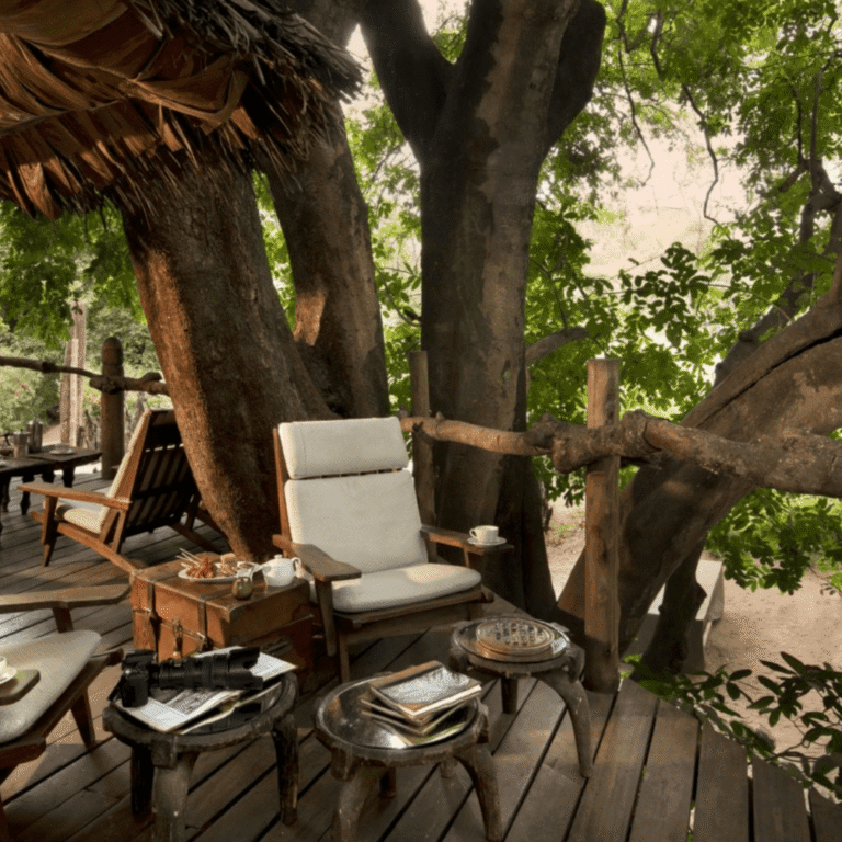 Lake Manyara Tree Lodge Andbeyond