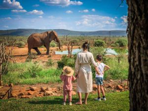 Top 5 Best Tanzania Family Safaris & Tours, 10 Things to do in Arusha, Top 10 Best African Safari Parks and Destinations of 2023/2024, Why Tanzania is the Perfect Choice for a Family Safari, Best 7 Day African Safari Tours, Tanzania Family Safari Vacations | 8 Day Amazing Family Safari in Tanzania, African Safari With Kids, Babies and Toddlers on an African Safari, things your family will experience on safari beyond animals, Is it safe to take kids on a safari in Tanzania?, Best Age For A Family Safari: When To Go With Kids