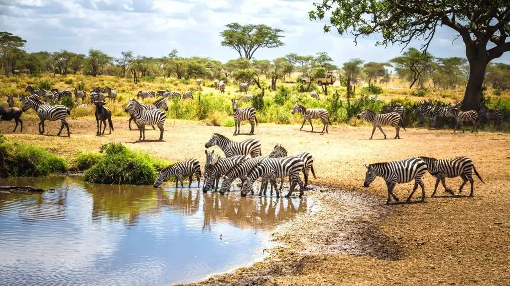 10-Day Amazing Northern Tanzania Safari