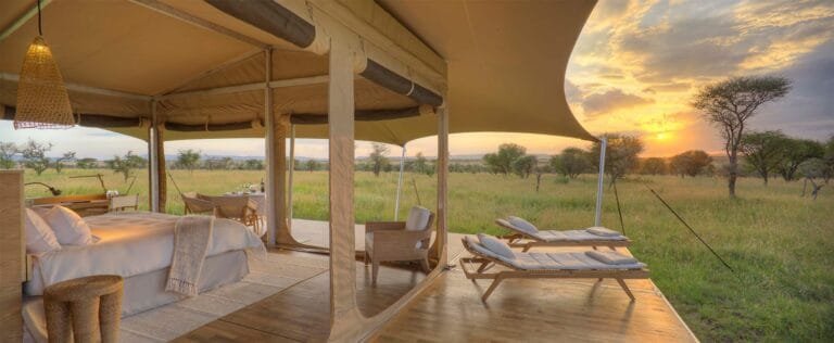 Roving Bushtops, What to Expect On a Luxury Safari Tanzania