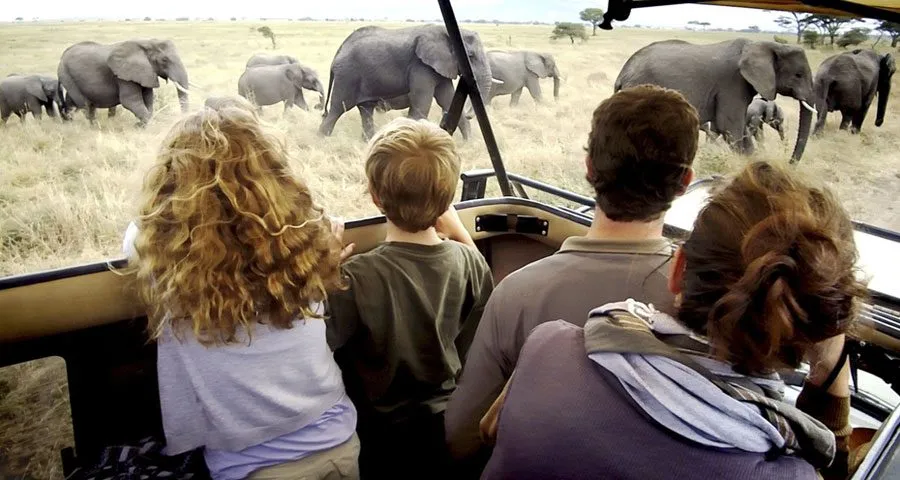 Tanzania Family Safaris & Tours, Serengeti National Park Entrance Fees, 10 Best Family Safari Holiday Packages 2023/2024, 10 Things to do in Tanzania other than Safaris, 3 Day Tanzania Lodge Safari, 8-Days Tanzania family Safari Itinerary, Guide to Great Serengeti Wildebeests Migration