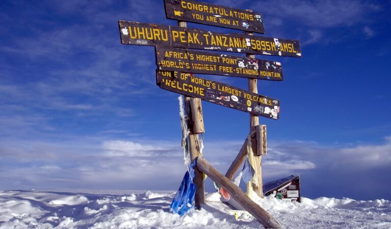 Machame, Rongai, Umbwe, Marangu, Northern Circuit Route Uhuru_Peak_Mt._Kilimanjaro, 10 Things to Know Before You Climb Mount Kilimanjaro, Mountain Guides on Mount Kilimanjaro, 10 Things to Know Before You Climb Mount Kilimanjaro, Kilimanjaro Routes, Kilimanjaro Routes, Map, Success Rate, Difficulty, Comparison, Kilimanjaro Song Jambo Bwana Meaning And Lyrics, Climbing Kilimanjaro Cost, Seven Summits - Highest Mountain on Each Continent, Kilimanjaro Summit, Umbwe Route, Why is Mount Kilimanjaro So Famous & Special?, What are the benefits of climbing Mount Kilimanjaro, Must-Have Documents to Carry When Climbing Kilimanjaro, Climbing Kilimanjaro When You're Over 50, When is there snow on the summit of Kilimanjaro, Climbing Kilimanjaro in May, Height, Prominence, And Altitude Gain When Climbing Kilimanjaro, Height, Prominence, And Altitude Gain When Climbing Kilimanjaro, things Kilimanjaro taught me, How Far in Advance Should You Book your Kilimanjaro Climb?, Kilimanjaro Summits, Kilimanjaro FAQs, Mount Kilimanjaro Deaths, What items would you take for a post Kilimanjaro recovery kit?, 10 Highest Mountains in Africa, bits of advice from past Kilimanjaro climbers, Top Places in Tanzania Where You Can See Kilimanjaro Clearly, Kilimanjaro National Park Travel Guide, How Hard Is Summit Night on Kilimanjaro?, The Ultimate Guide to Climbing Mount Kilimanjaro, Lemosho vs. Marangu Route: A Comparison of Kilimanjaro's Newer and Older Climbing Paths, Why Climb Kilimanjaro With Us?, Kilimanjaro Packages Solo Travelers