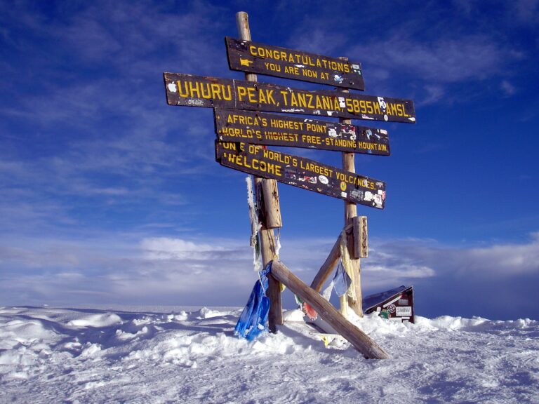 Machame, Rongai, Umbwe, Marangu, Northern Circuit Route Uhuru_Peak_Mt._Kilimanjaro, 10 Things to Know Before You Climb Mount Kilimanjaro, Mountain Guides on Mount Kilimanjaro, 10 Things to Know Before You Climb Mount Kilimanjaro, Kilimanjaro Routes, Kilimanjaro Routes, Map, Success Rate, Difficulty, Comparison, Kilimanjaro Song Jambo Bwana Meaning And Lyrics, Climbing Kilimanjaro Cost, Seven Summits - Highest Mountain on Each Continent, Kilimanjaro Summit, Umbwe Route, Why is Mount Kilimanjaro So Famous & Special?, What are the benefits of climbing Mount Kilimanjaro, Must-Have Documents to Carry When Climbing Kilimanjaro, Climbing Kilimanjaro When You're Over 50, When is there snow on the summit of Kilimanjaro, Climbing Kilimanjaro in May, Height, Prominence, And Altitude Gain When Climbing Kilimanjaro, Height, Prominence, And Altitude Gain When Climbing Kilimanjaro, things Kilimanjaro taught me, How Far in Advance Should You Book your Kilimanjaro Climb?, Kilimanjaro Summits, Kilimanjaro FAQs, Mount Kilimanjaro Deaths, What items would you take for a post Kilimanjaro recovery kit?, 10 Highest Mountains in Africa, bits of advice from past Kilimanjaro climbers, Top Places in Tanzania Where You Can See Kilimanjaro Clearly, Kilimanjaro National Park Travel Guide, How Hard Is Summit Night on Kilimanjaro?, The Ultimate Guide to Climbing Mount Kilimanjaro, Lemosho vs. Marangu Route: A Comparison of Kilimanjaro's Newer and Older Climbing Paths, Why Climb Kilimanjaro With Us?