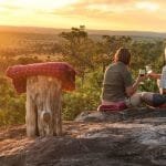 Honeymoon Safari