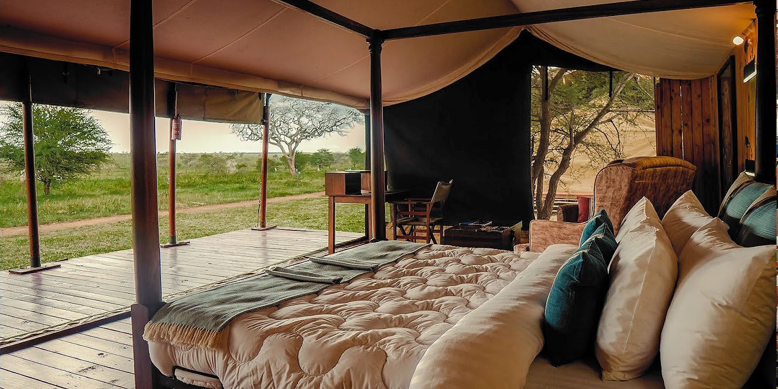 Camps and Lodges - why feeding wildlife is not advisable, Foot Slopes Tours and Safaris