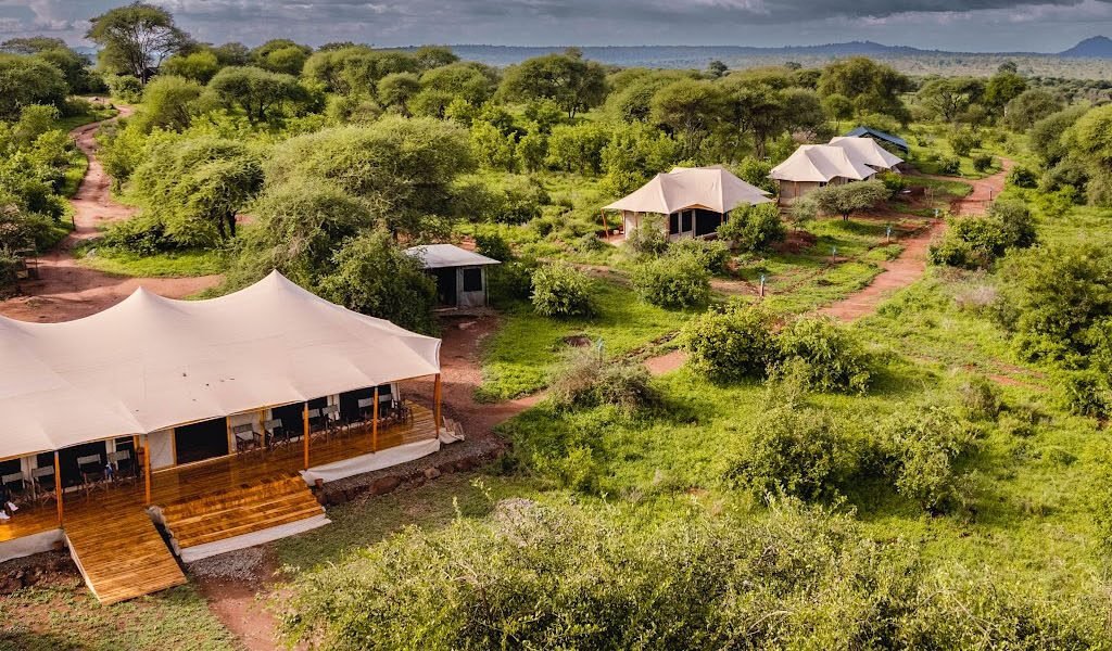 7-Day Serengeti Migration Safari - Tanzania safari in April