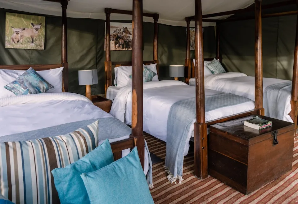 Full Days With the Herds - Tanzania safari in March