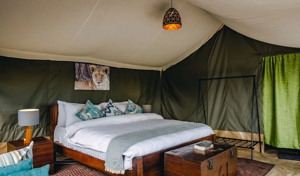 Build Flexibility Into Your Route - Tanzania safari in March