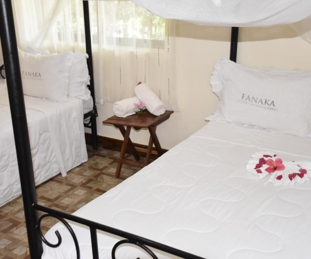 Reserve Festive Dates Nine to Twelve Months Ahead - Tanzania safari in December