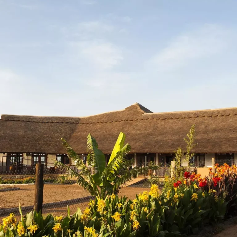 Farm House Valley, Karatu, Tanzania - 2023 / 2024, Types of African Safari Accommodation: A Comprehensive Guide