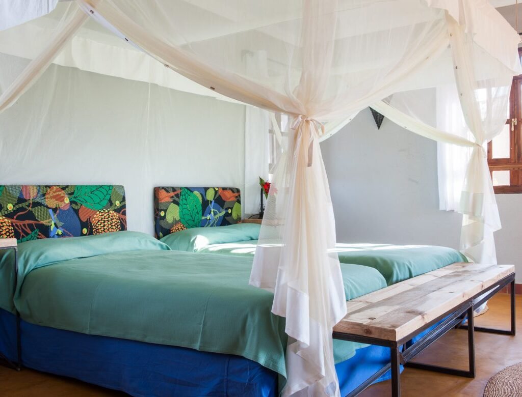 Lodges on the Rim or in Karatu - Ngorongoro Crater in August