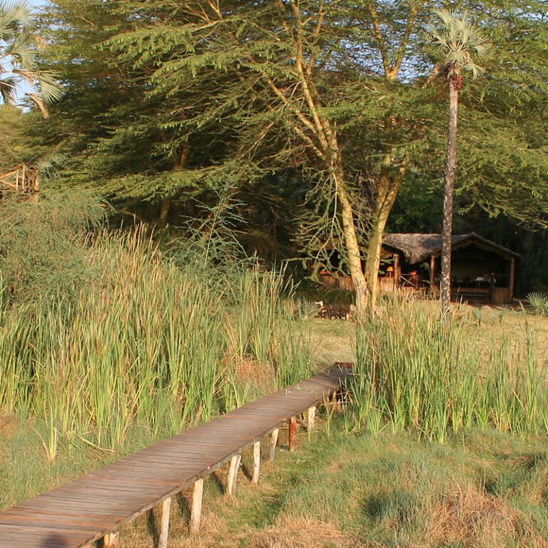 Kisima Ngeda Camp - Lake Eyasi, Tanzania, Best Time to Visit Lake Eyasi