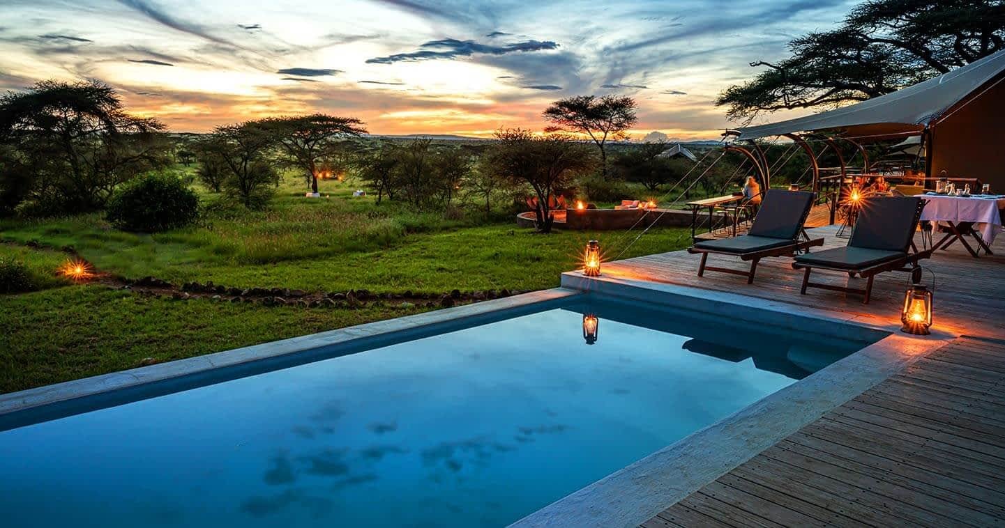 The Best Time to Plan Your Tanzania Honeymoon Safari