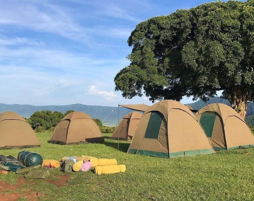 Simba Camp - Climbing Kilimanjaro in March