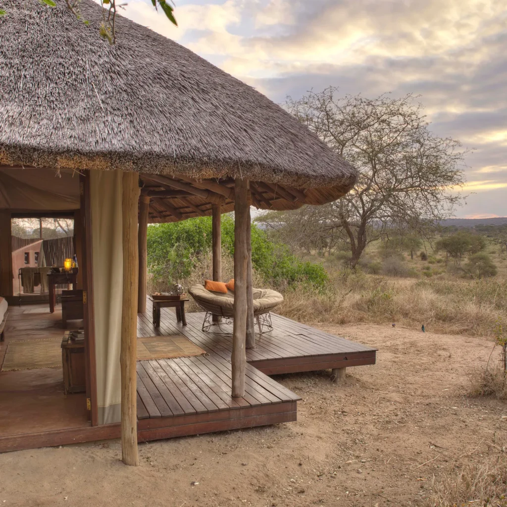 Dry-Season Wildlife Photography - Serengeti safari in September