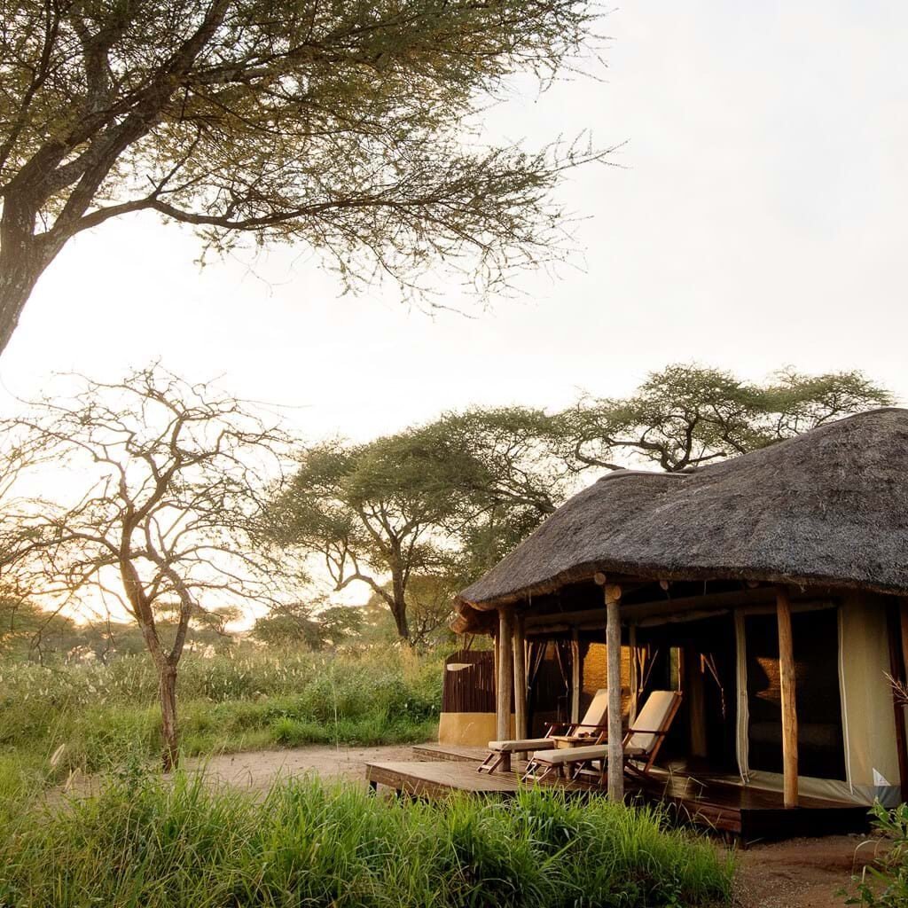 Oliver's Camp | Hotels in Tarangire National Park