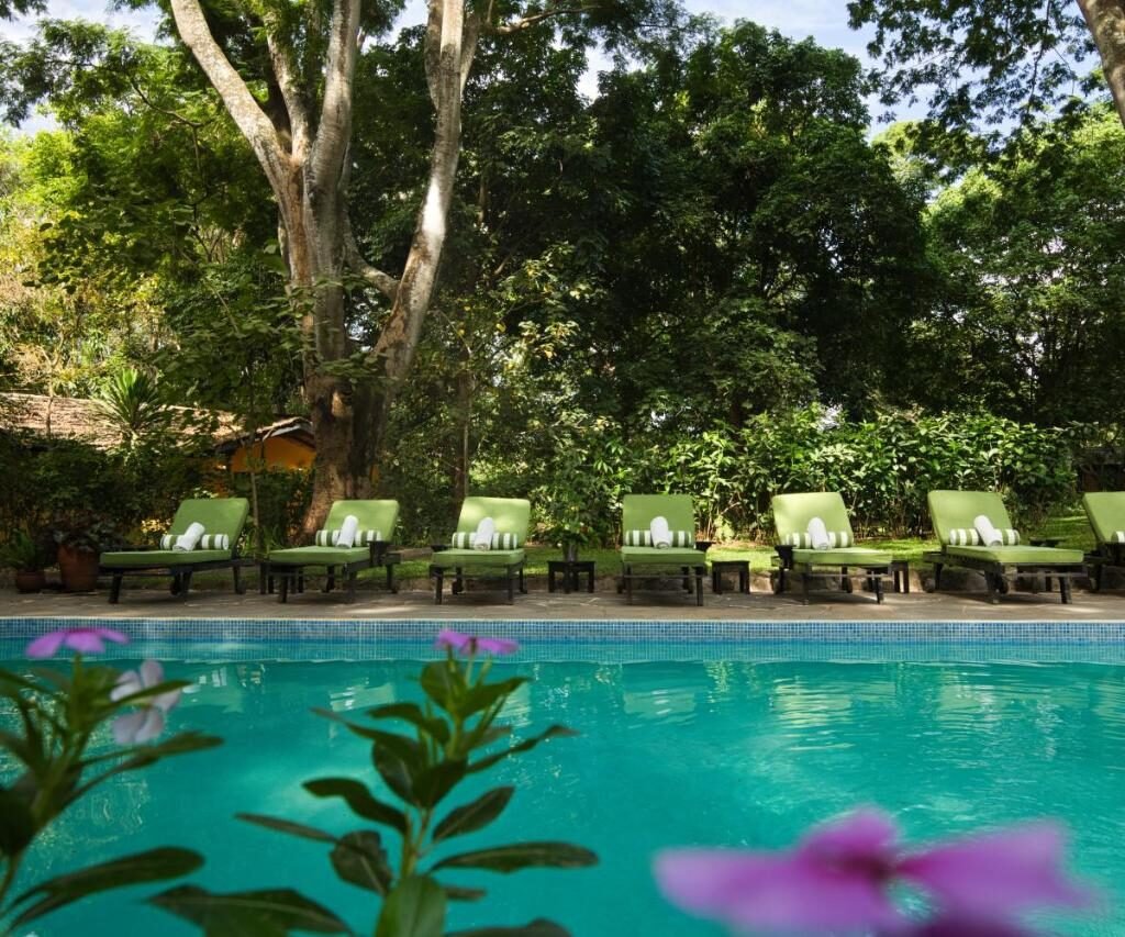 Rivertrees Country Inn - Climbing Kilimanjaro in April