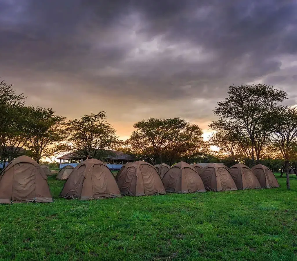 Budget Camping Safari - Tanzania safari in March