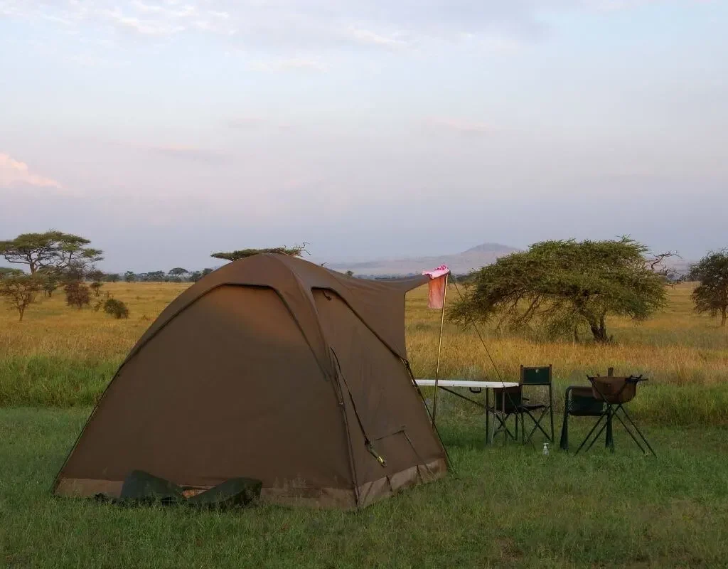 Budget Camping Safari - Tanzania safari in April