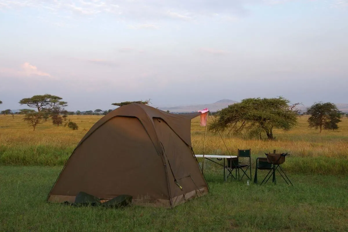First Timer's Guide to Camping in the Serengeti