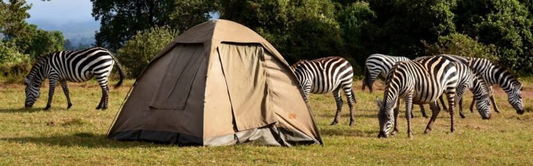 Serengeti Seronera Public Campsite,