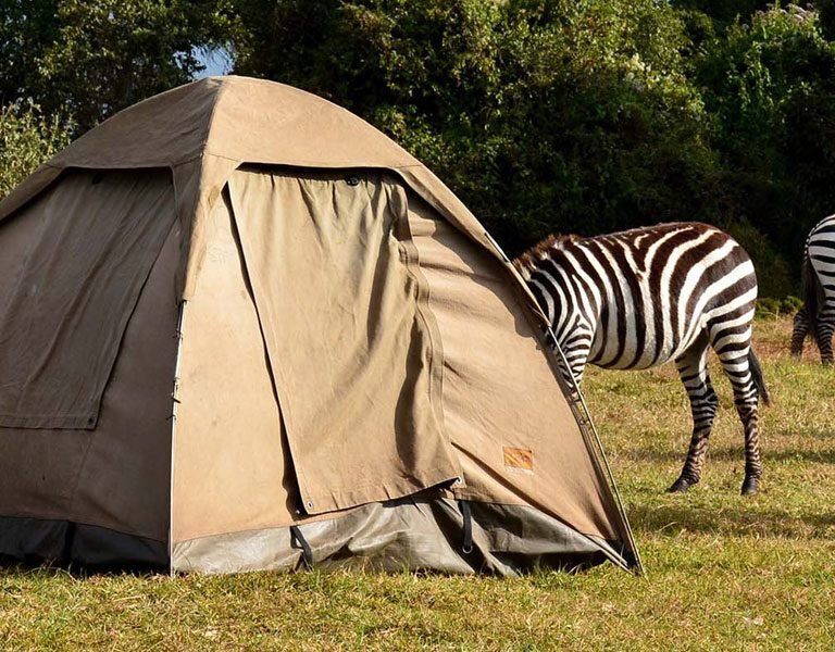Serengeti Seronera Public Campsite,