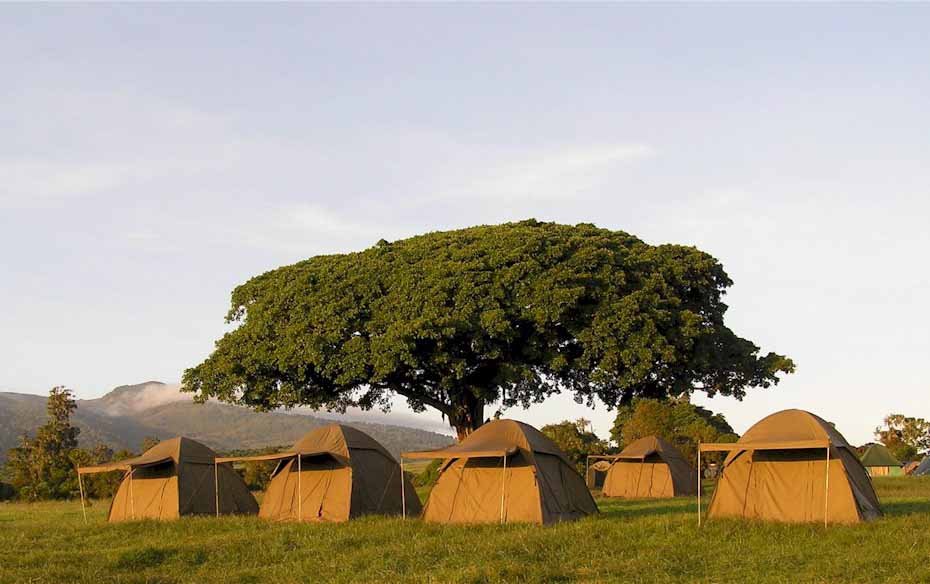 Budget Camping Safari - Tanzania safari in June