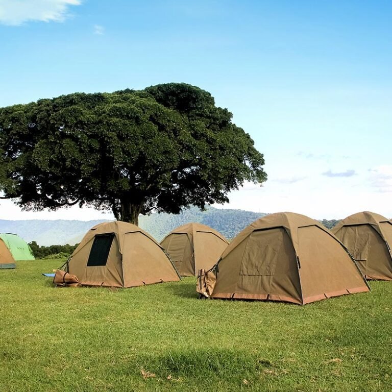 Seronera Public Campsite, Tips for Planning a Cheap Budget Safari in Tanzania, Budget Tours & Vacation Packages to Tanzania, Ngorongoro Crater Budget Safari Tours