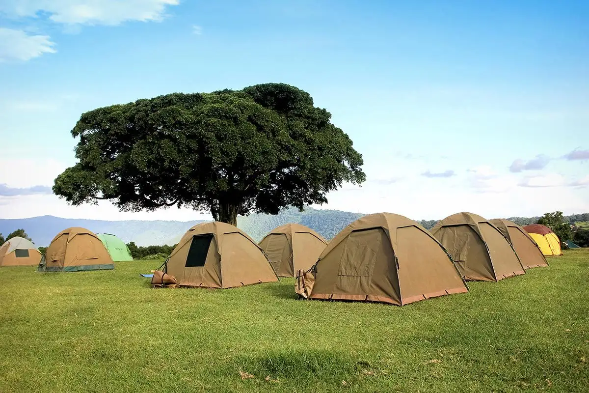 Seronera Public Campsite, Tips for Planning a Cheap Budget Safari in Tanzania