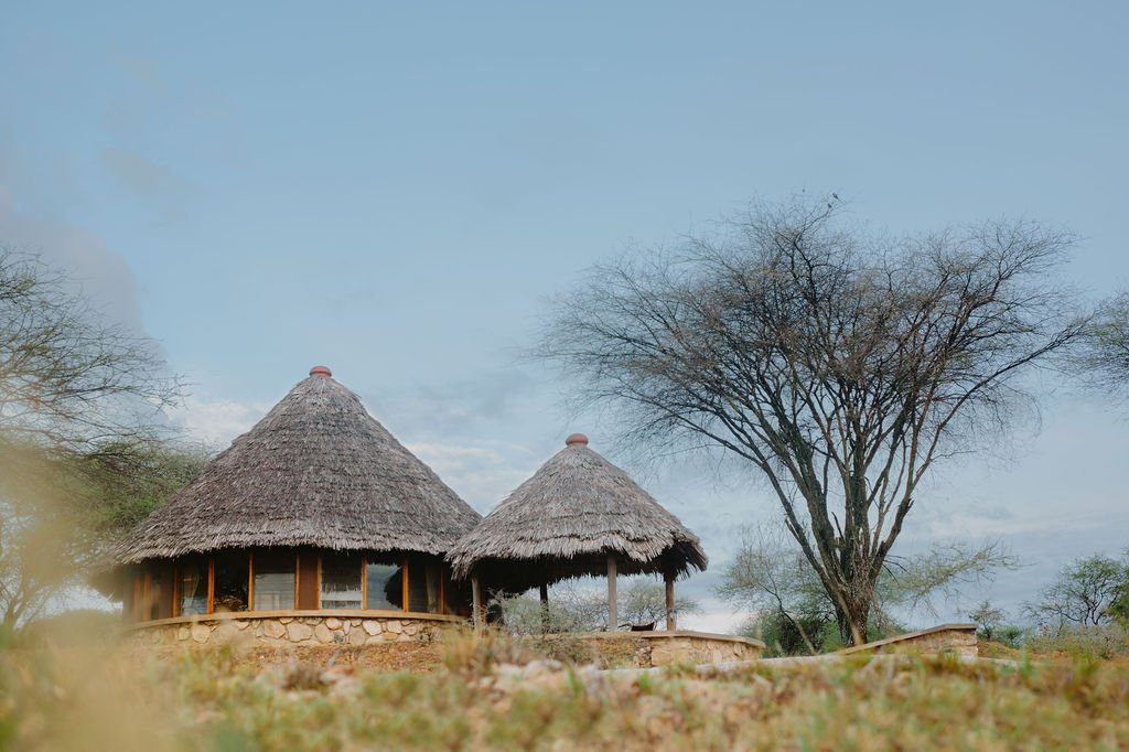 Private Vehicle and Guide - Tanzania safari in October
