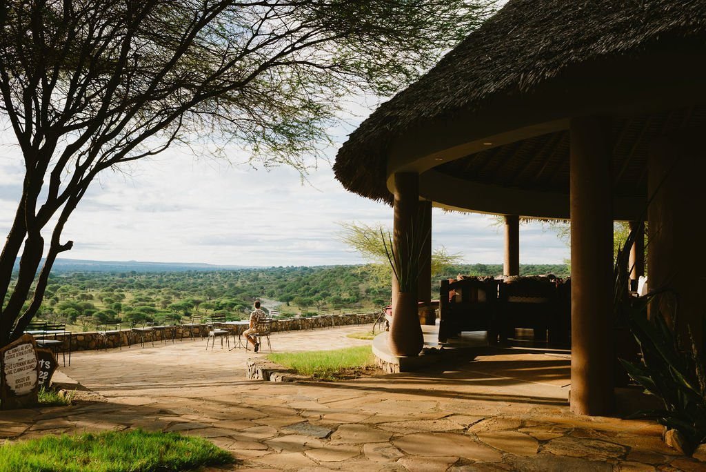 Tarangire National Park - Tanzania safari in December