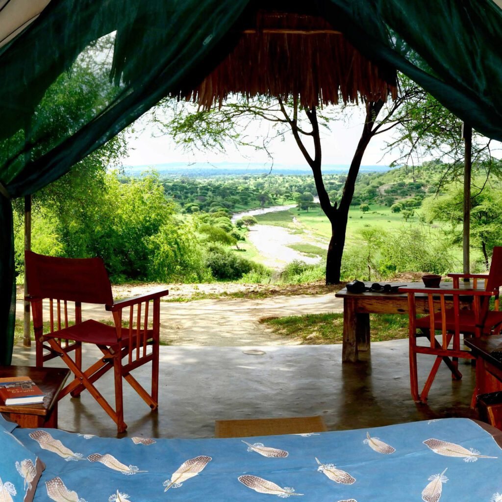 Tarangire in December - Tanzania safari in December