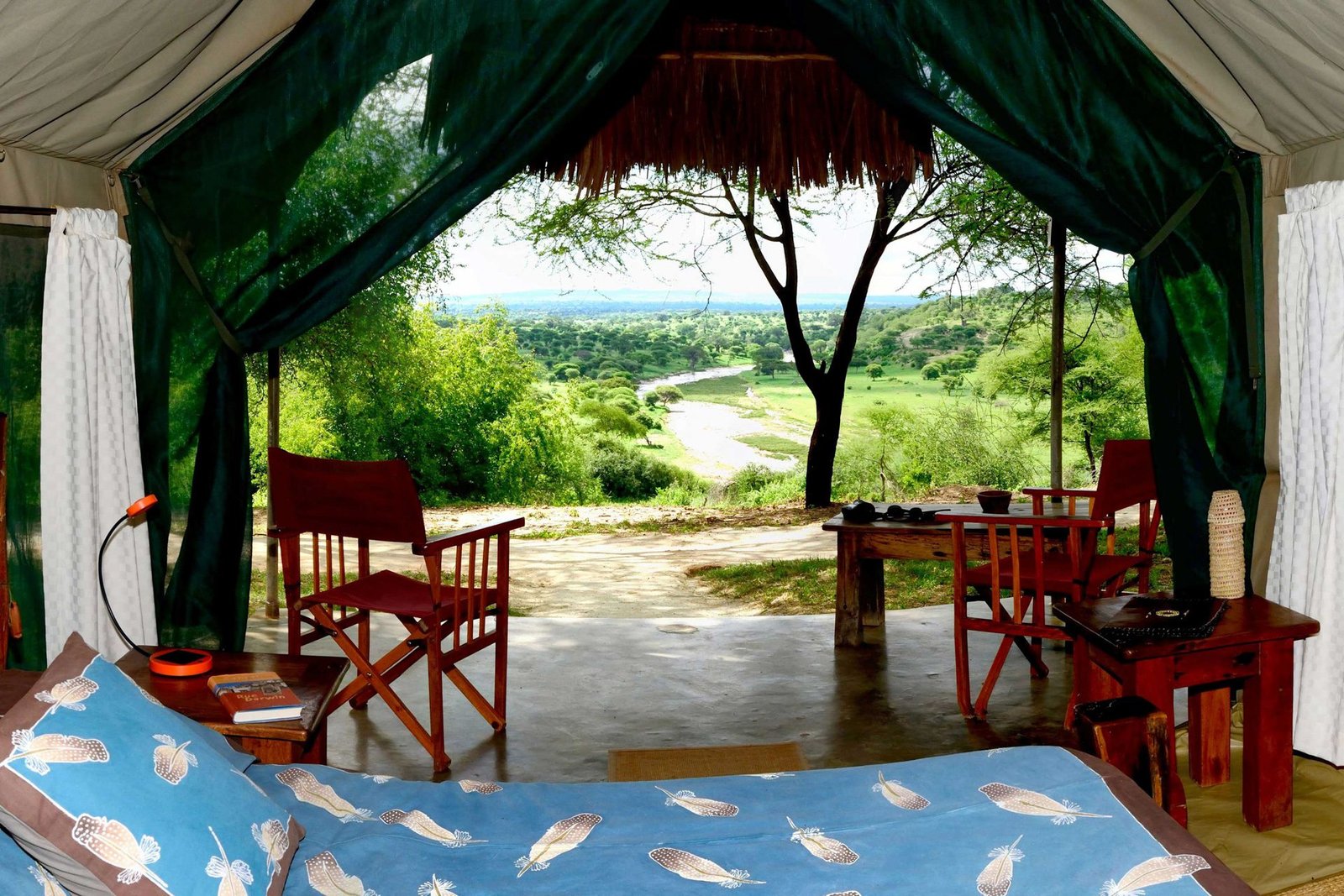 Tarangire National Park - Kids on an African safari, Foot Slopes Tours and Safaris