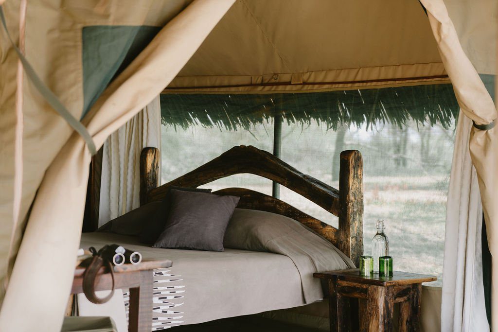 Tarangire National Park Hotels: Tarangire Safari Lodge
