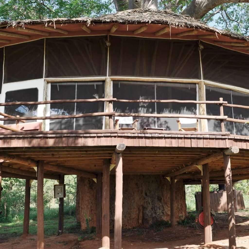 Clear Skies and Easy Game Viewing - Tanzania safari in July