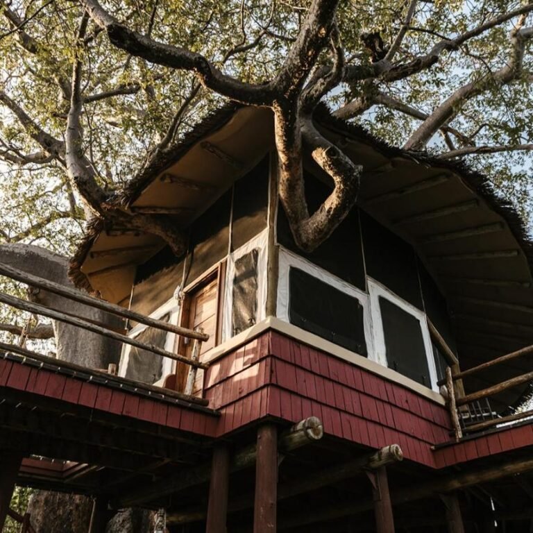 Tarangire Treetops by Elewana