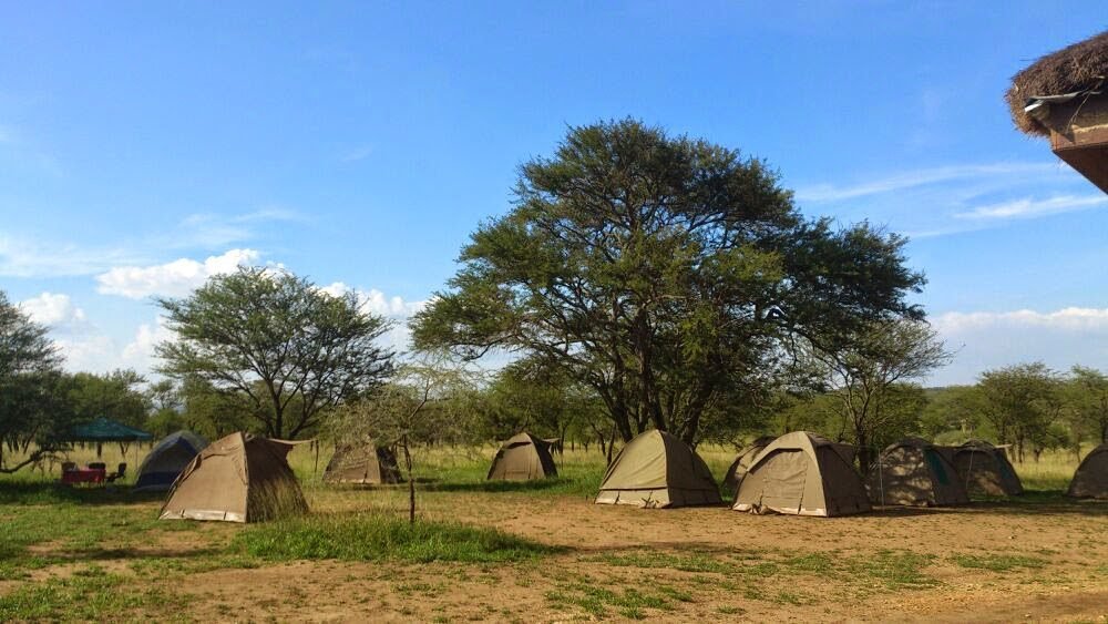 Lobo and the North-Eastern Hills - Serengeti safari in October