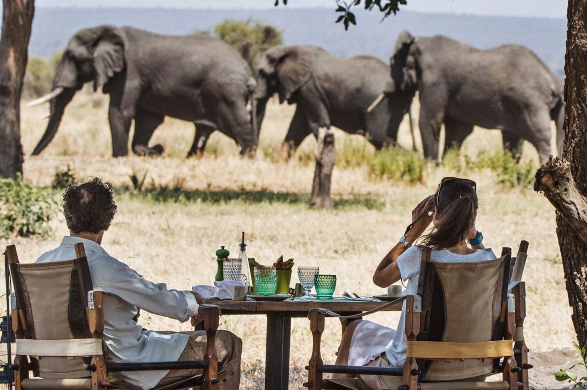 Best Time For An African Safari