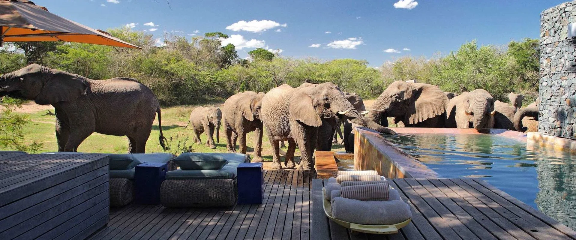 Family Friendly Safaris in Tanzania