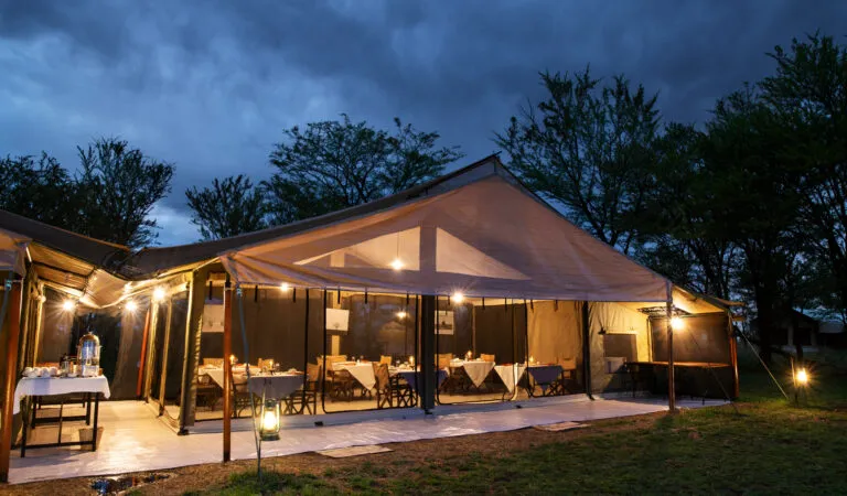 The tents at Mara Kati Kati are meticulously designed to blend the essence of classic safari adventures with modern comforts. Each tent is furnished with plush bedding, locally inspired décor, and ensuite bathrooms equipped with hot showers and eco-friendly toiletries. The subtle lighting, soft linens, and rustic yet sophisticated furnishings create an ambiance that seamlessly merges the raw beauty of the wilderness with the elegance of a homey accommodation., Choosing an African Safari Lodge or Camp, Exceptional Tanzania Safari, African Safari FAQs