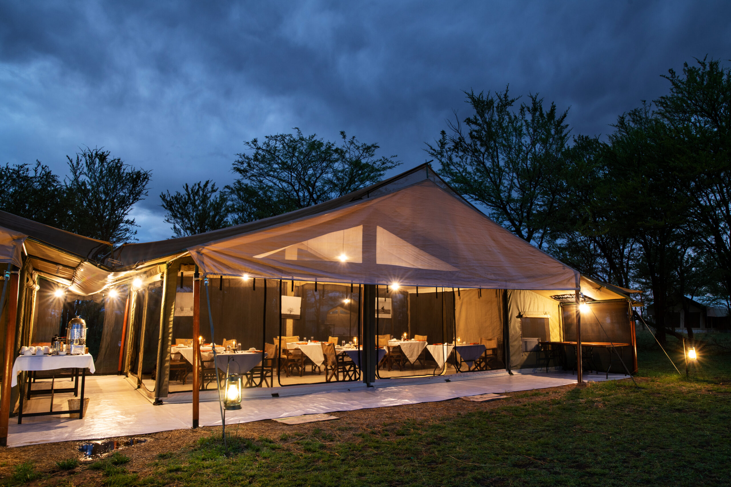 The tents at Mara Kati Kati are meticulously designed to blend the essence of classic safari adventures with modern comforts. Each tent is furnished with plush bedding, locally inspired décor, and ensuite bathrooms equipped with hot showers and eco-friendly toiletries. The subtle lighting, soft linens, and rustic yet sophisticated furnishings create an ambiance that seamlessly merges the raw beauty of the wilderness with the elegance of a homey accommodation., Choosing an African Safari Lodge or Camp, Exceptional Tanzania Safari, African Safari FAQs