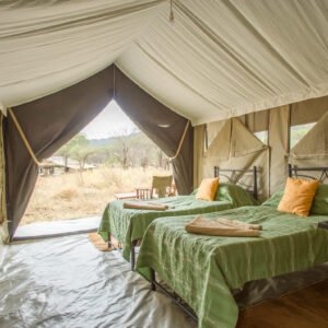 5-Day Ndutu Migration Calving Season Safari - Mara Kati Kati Tented Camp Double Room, Best Mid-Range Serengeti Safari Lodges & Camps, 6-Day Highlights of Tanzania Mid-Range Safari
