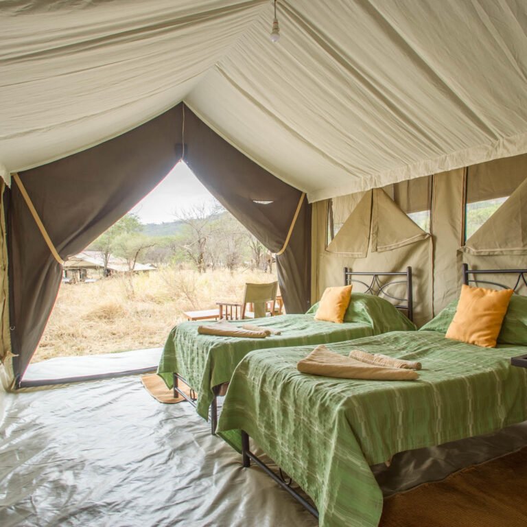 5-Day Ndutu Migration Calving Season Safari - Mara Kati Kati Tented Camp Double Room, Best Mid-Range Serengeti Safari Lodges & Camps, 6-Day Highlights of Tanzania Mid-Range Safari